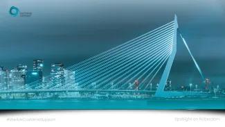 Rotterdam Bridge (Teal Overlay)