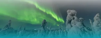 Finland Background of Northern Lights and snow covered trees